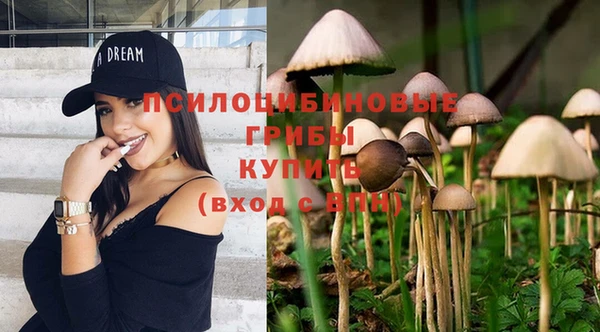 spice Беломорск
