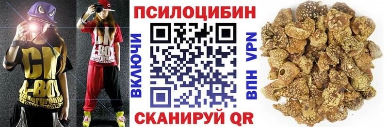 Псилоцибиновые грибы Psilocybine cubensis  mega ссылка  Дятьково 